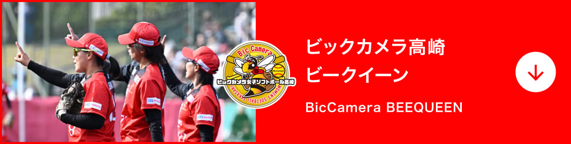 ビックカメラ高崎 ビークイーン