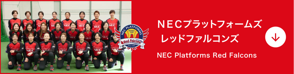 ＮＥＣプラットフォームズ レッドファルコンズ