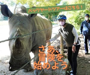 のんほいパーク バックヤードツアー