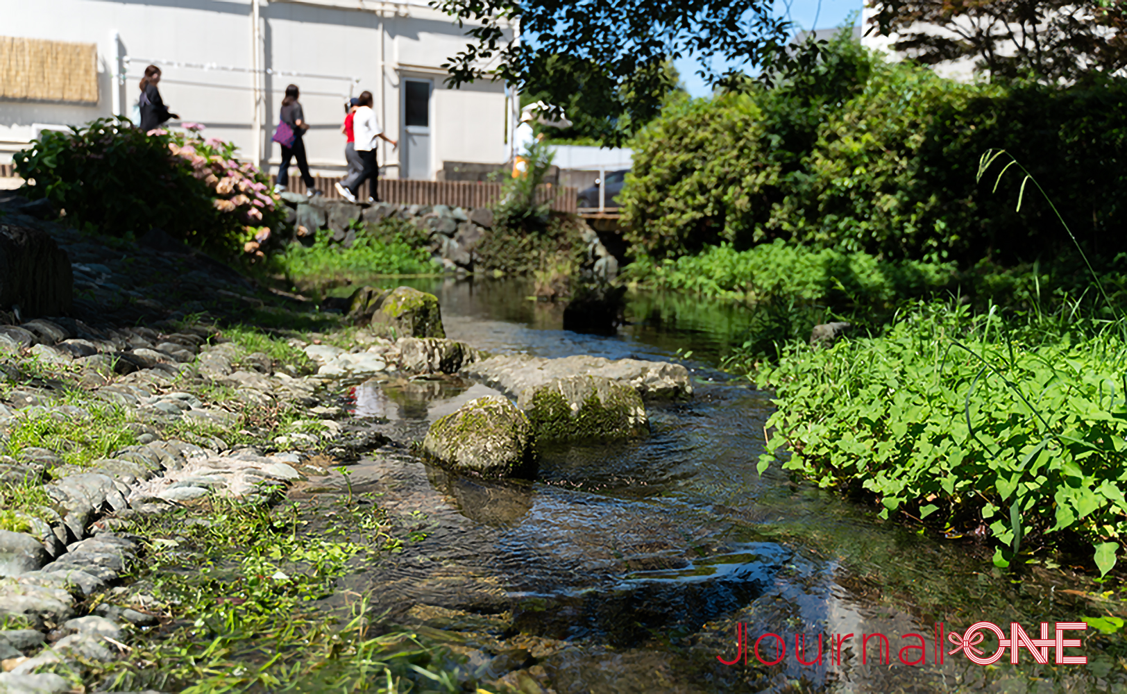 水舞台公園