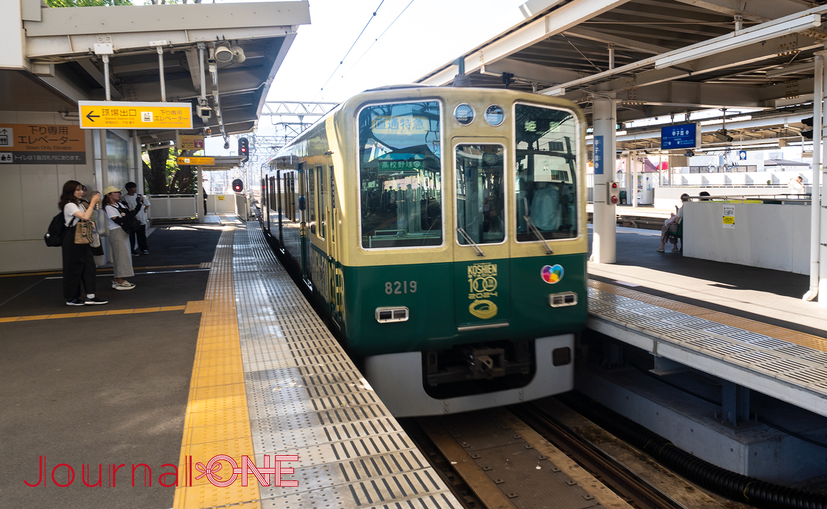 阪神甲子園球場100周年記念ラッピングトレイン