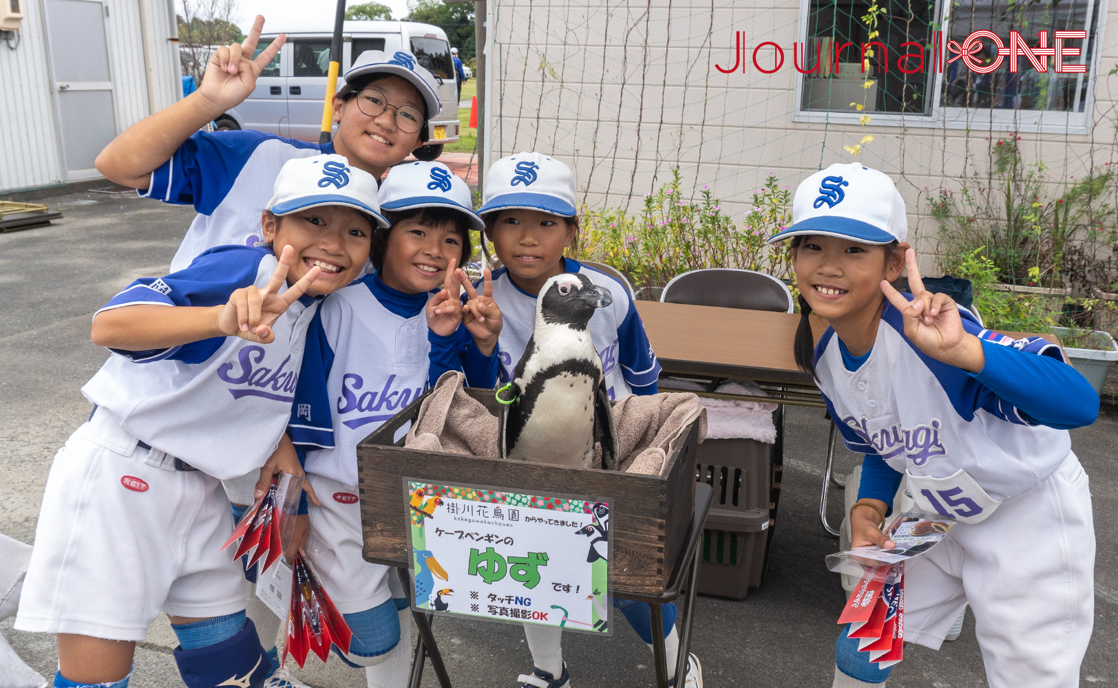 掛川花鳥園のケープペンギンも応援に-JournalｰONE撮影