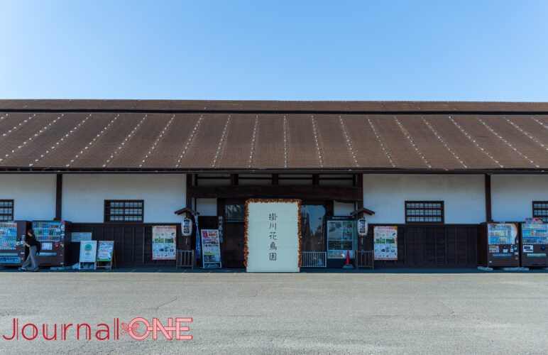 Journal-ONE撮影 掛川駅 掛川花鳥園 観光スポット