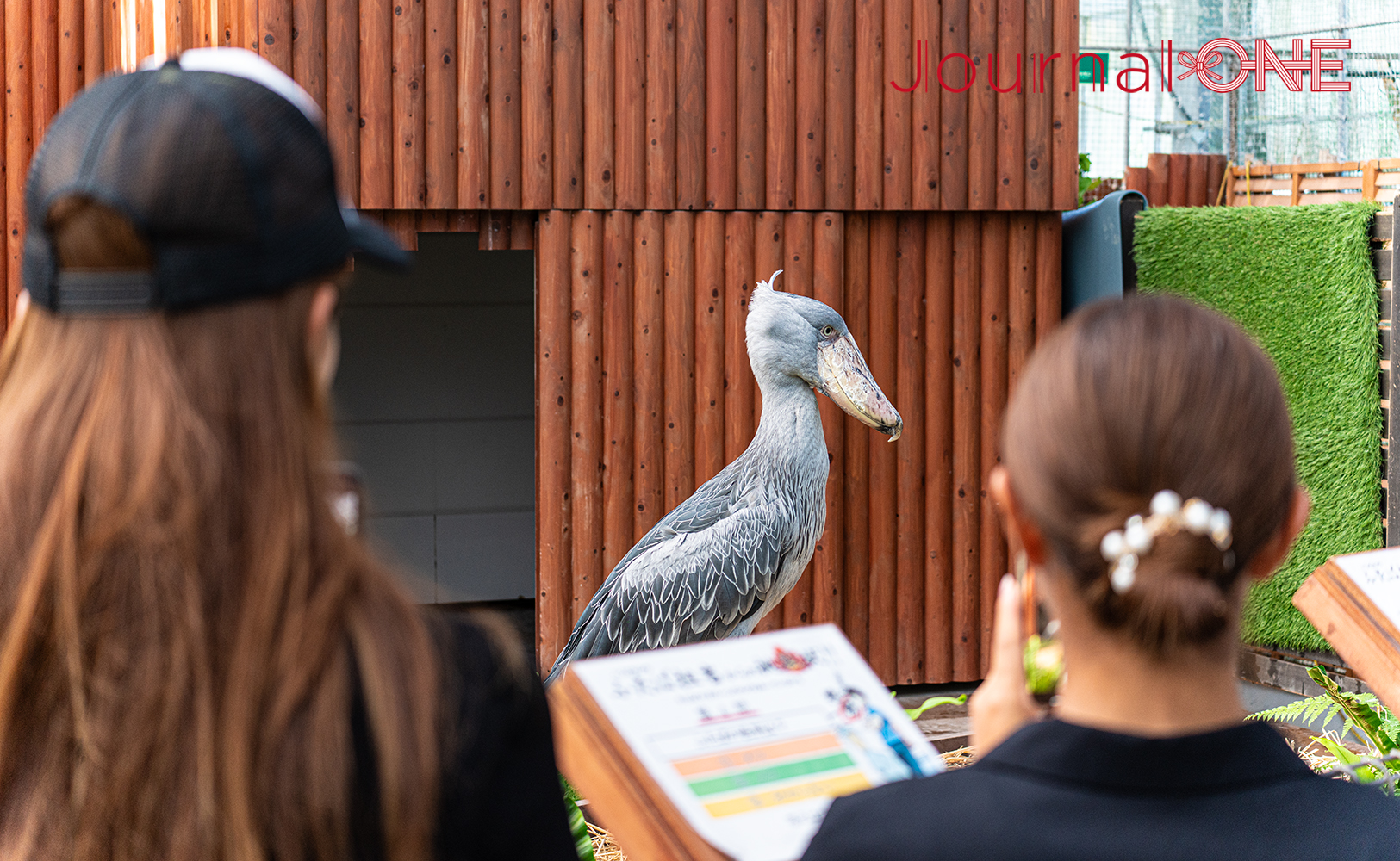 Journal-ONE撮影 掛川駅 掛川花鳥園 観光スポット