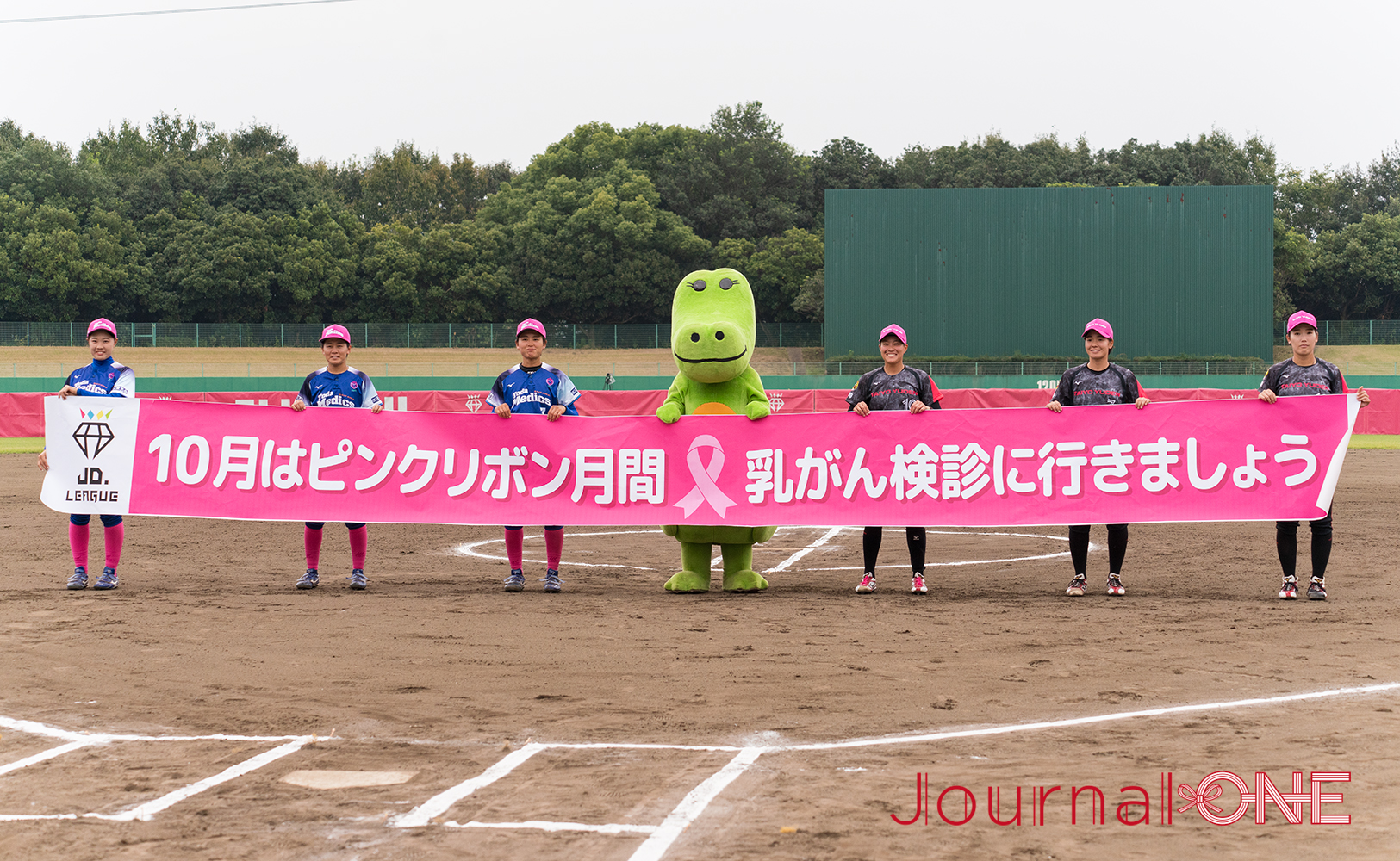 ケイアイスタジアム（本庄総合公園市民球場）