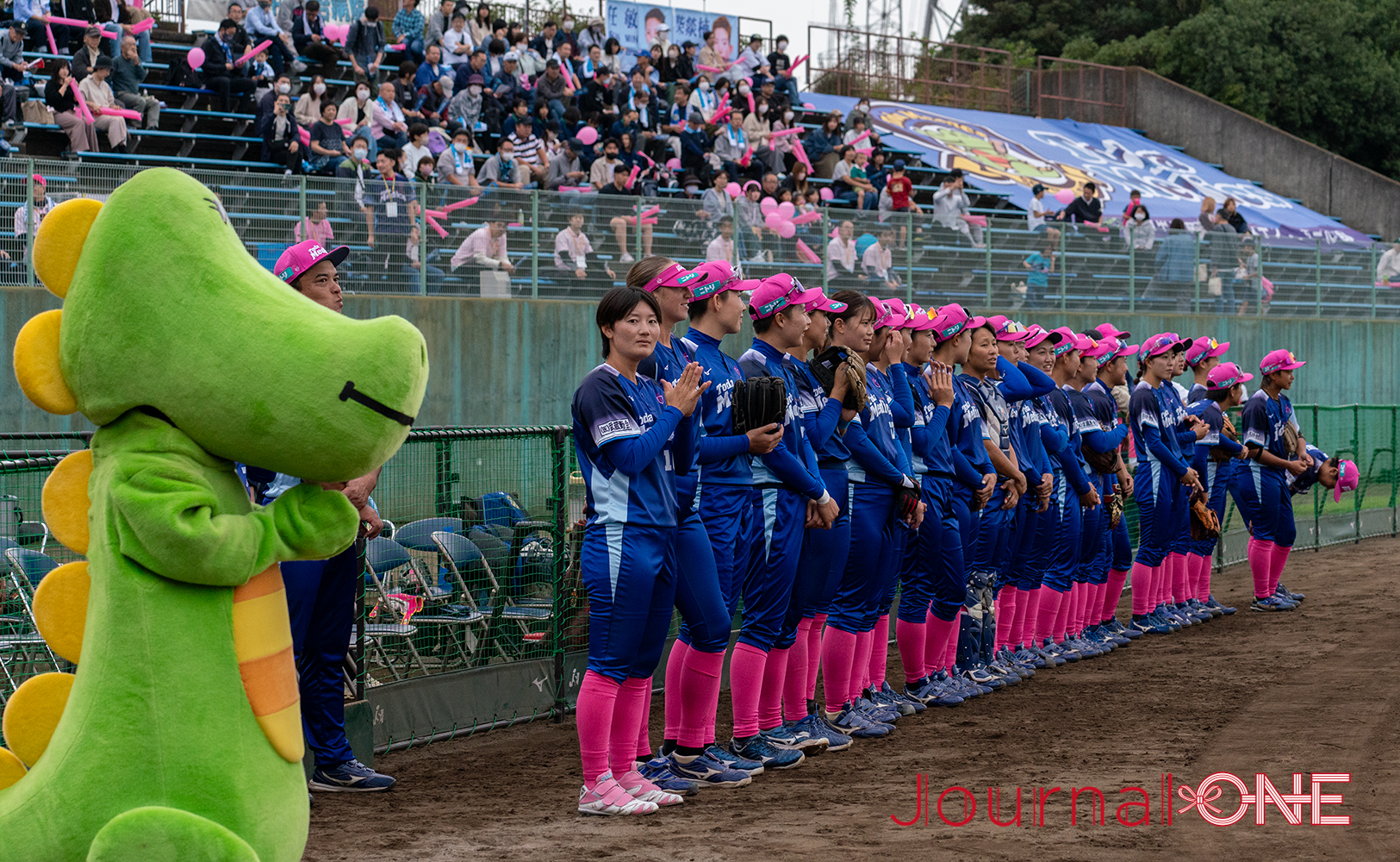 ケイアイスタジアム（本庄総合公園市民球場）