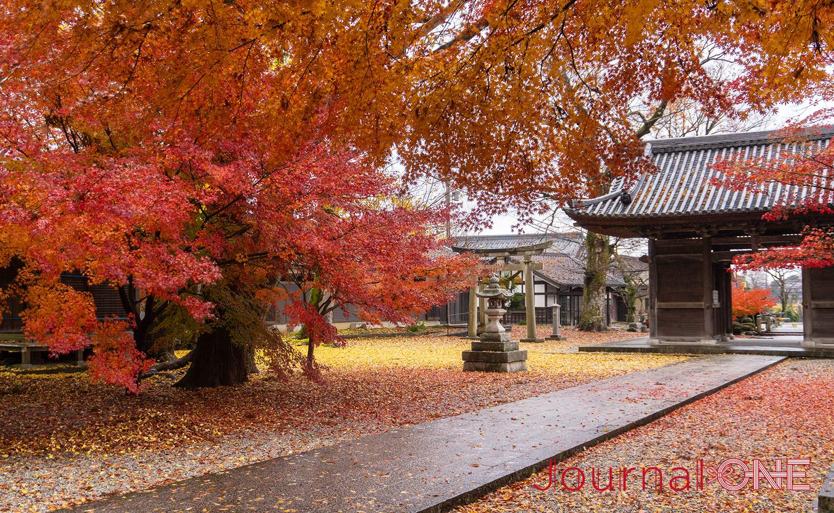 渡岸寺観音堂（向源寺）