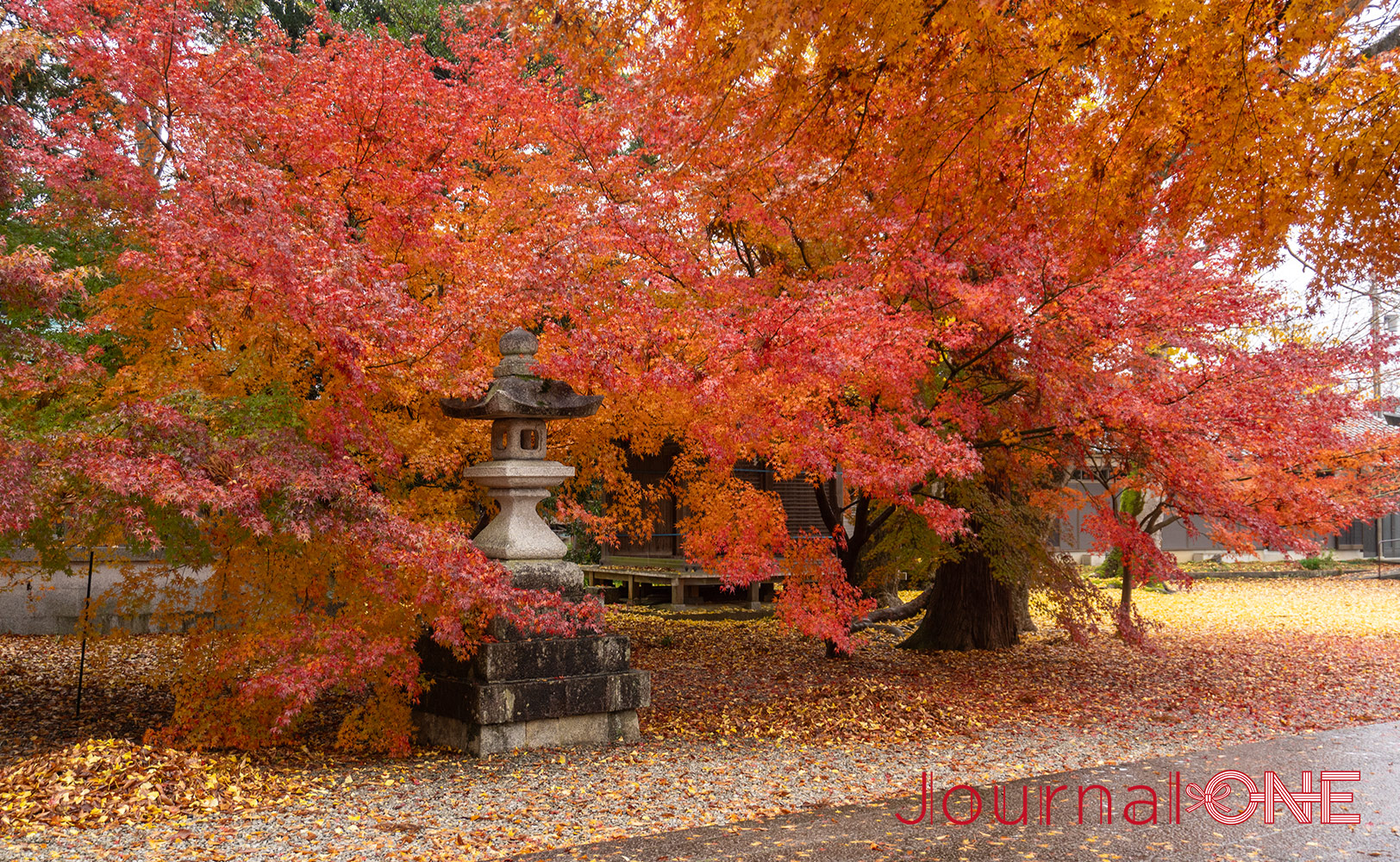 渡岸寺観音堂（向源寺）