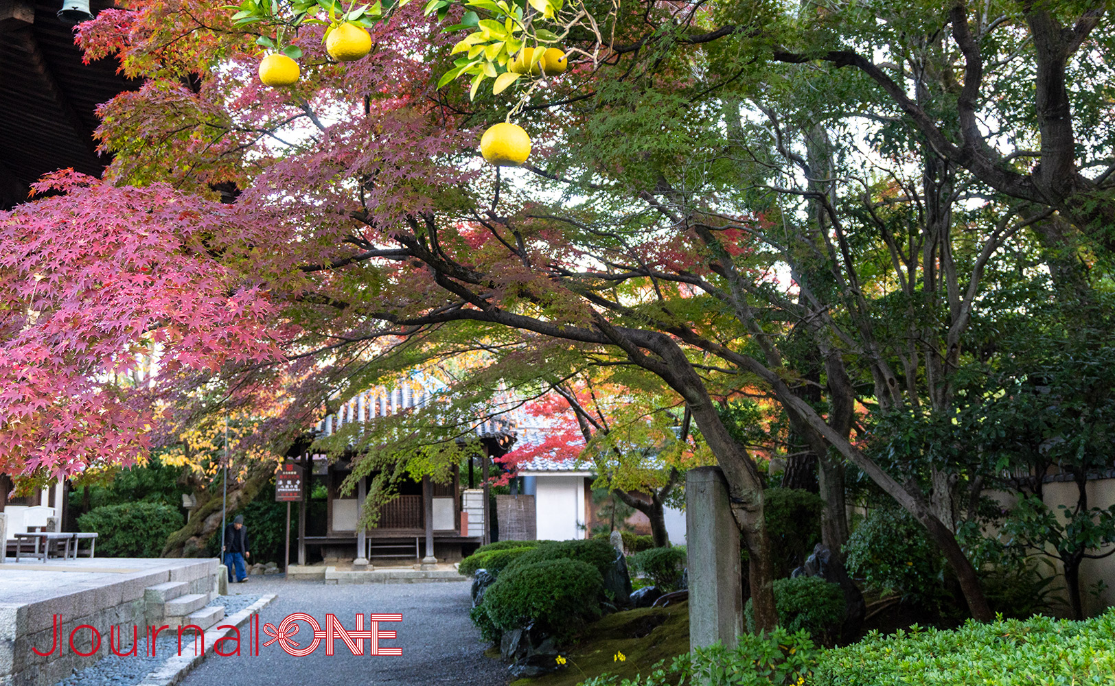 法観寺（八坂の塔）