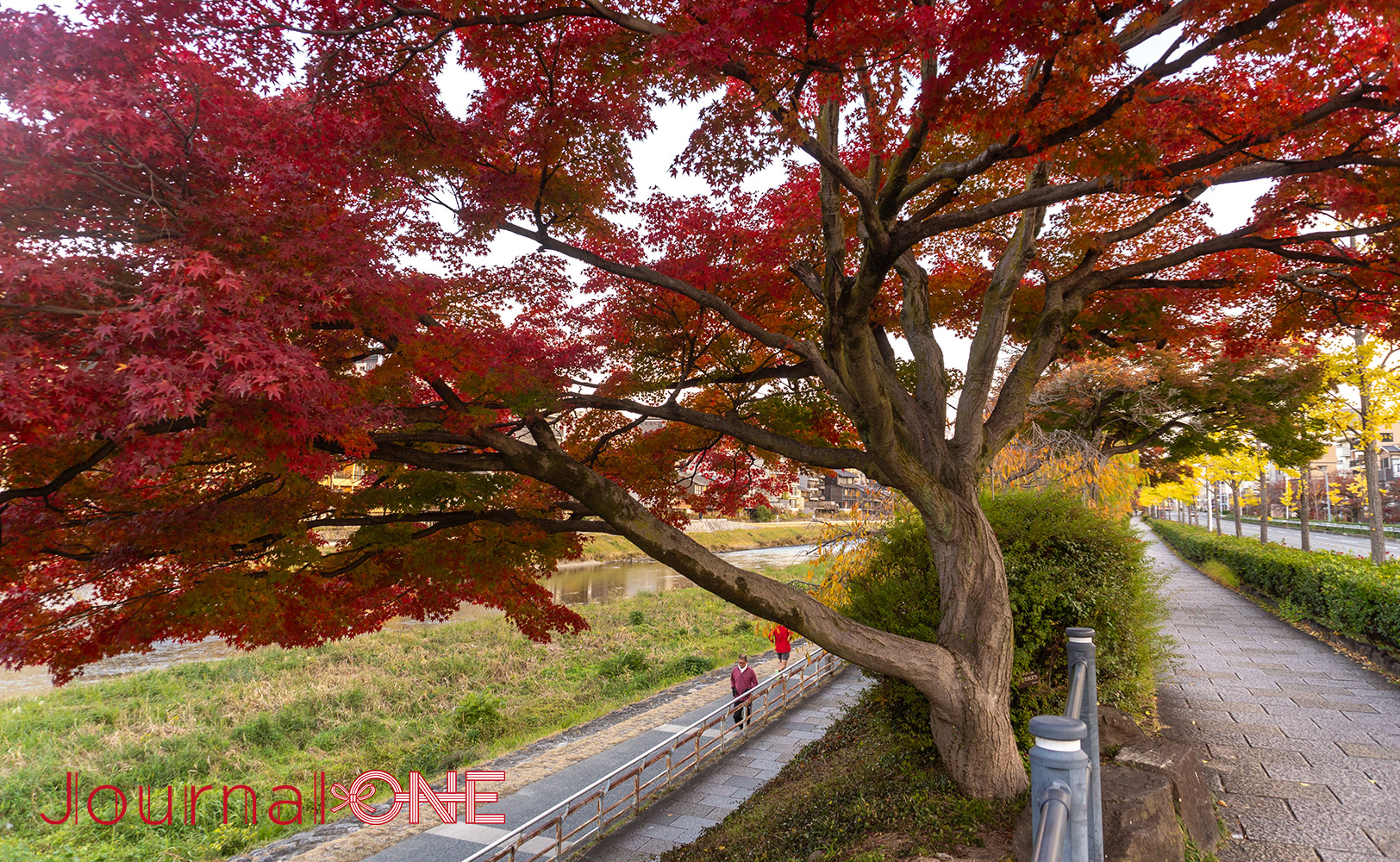 京都 宮川町の街並み